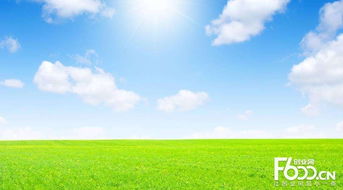 睿容空氣凈化器加盟指南 加盟費、官網(wǎng)、條件流程及政策支持解析